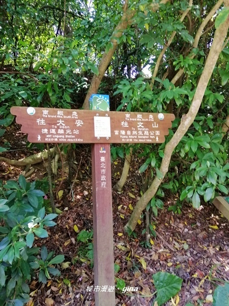 【台北大安】城市裡的綠意盎然。 富陽自然生態公園