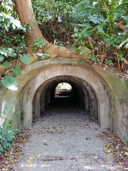 IMG_20200306_115017.jpg IMG_20200306_115017.jpg