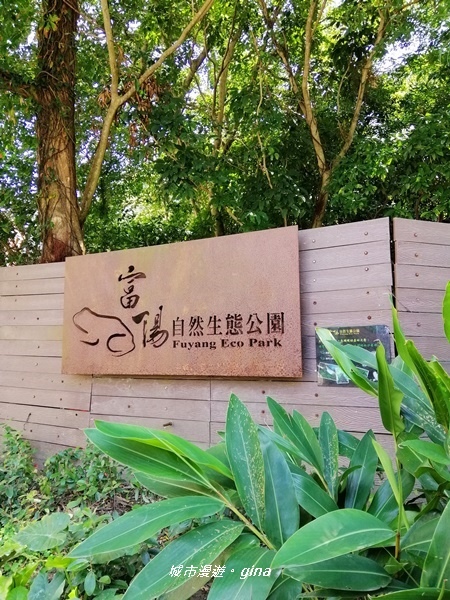 【台北大安】城市裡的綠意盎然。 富陽自然生態公園