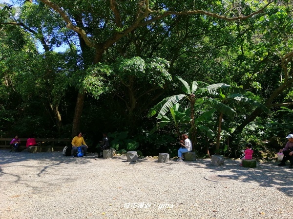 IMG_20200306_115305.jpg IMG_20200306_115305.jpg