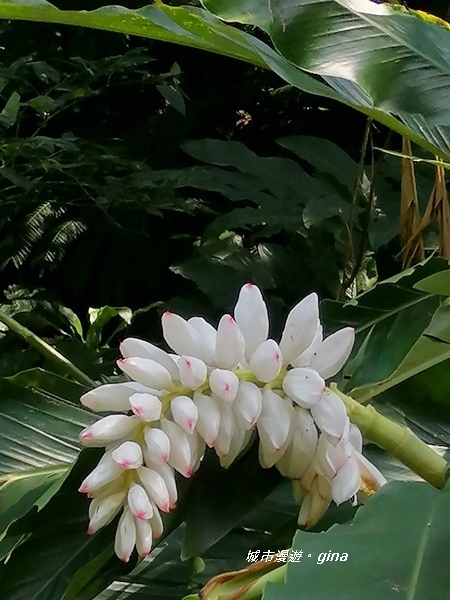 IMG_20200306_115436.jpg IMG_20200306_115436.jpg