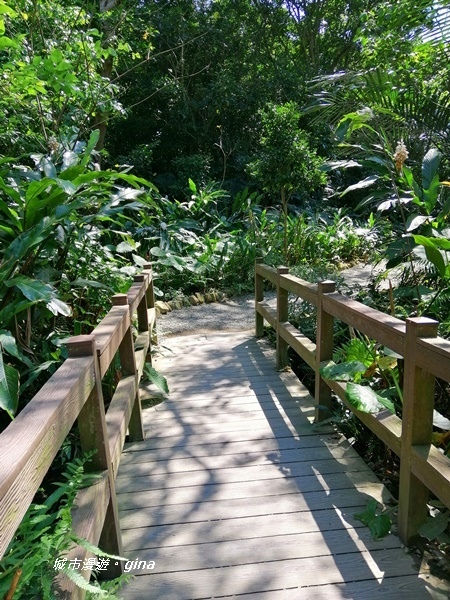 IMG_20200306_115359.jpg IMG_20200306_115359.jpg