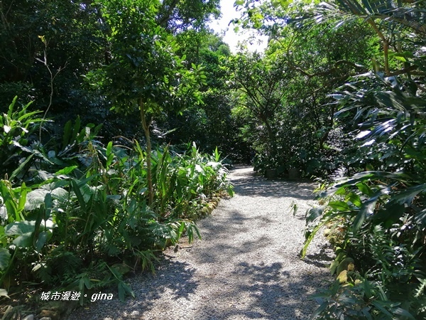 【台北大安】城市裡的綠意盎然。 富陽自然生態公園