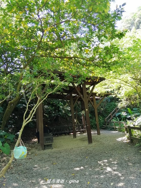 IMG_20200306_115838.jpg IMG_20200306_115838.jpg