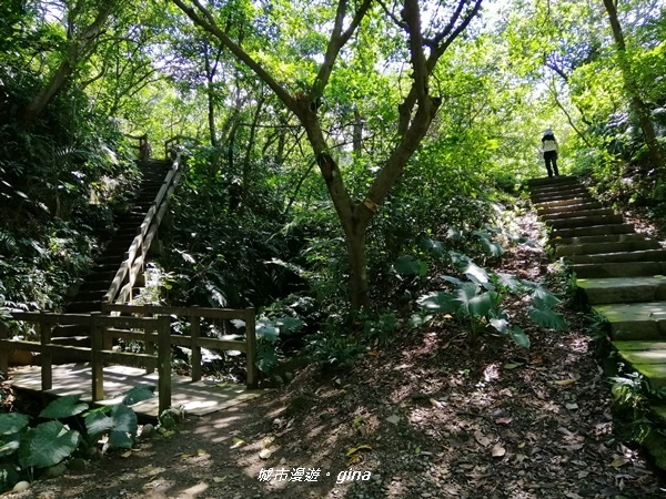 IMG_20200306_115854.jpg IMG_20200306_115854.jpg