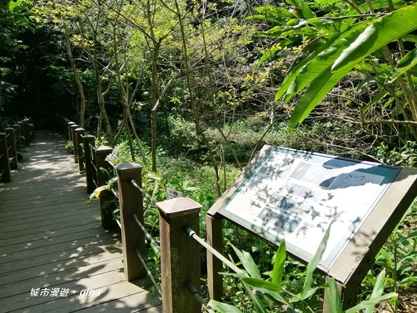 IMG_20200306_120019.jpg IMG_20200306_120019.jpg