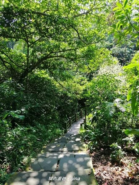 IMG_20200306_115942.jpg IMG_20200306_115942.jpg