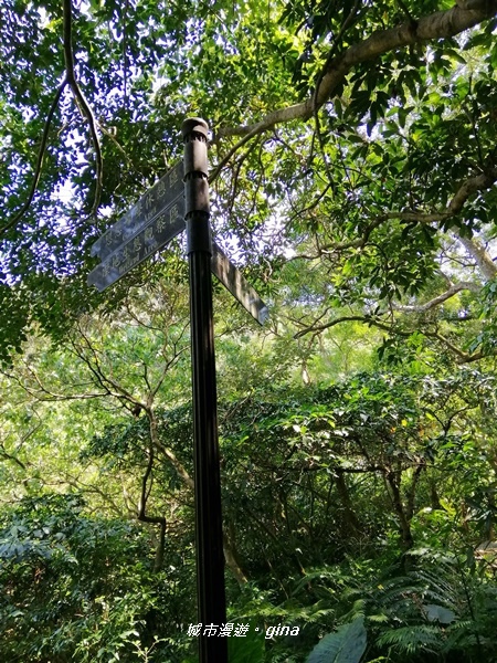 IMG_20200306_120215.jpg IMG_20200306_120215.jpg