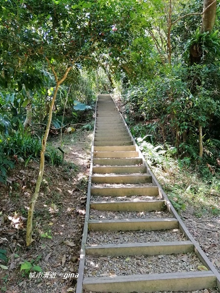 【台北大安】城市裡的綠意盎然。 富陽自然生態公園