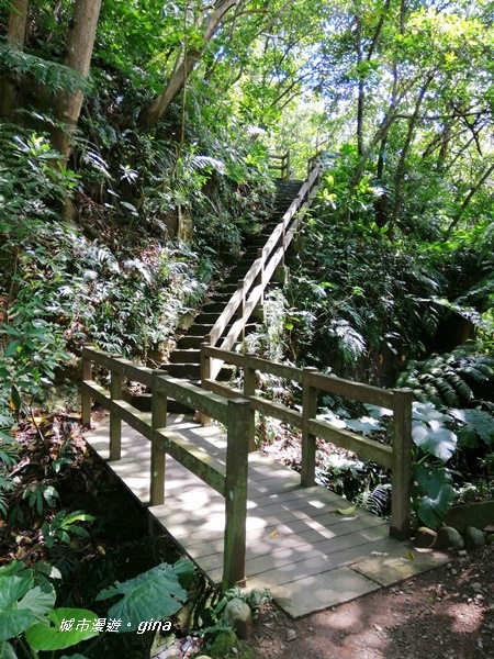 IMG_20200306_121127.jpg IMG_20200306_121127.jpg