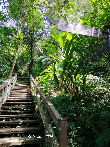 【台北大安】城市裡的綠意盎然。 富陽自然生態公園