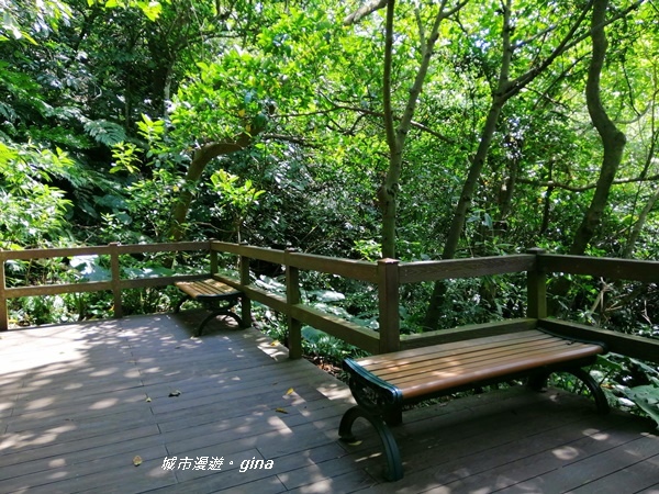 IMG_20200306_121256.jpg IMG_20200306_121256.jpg