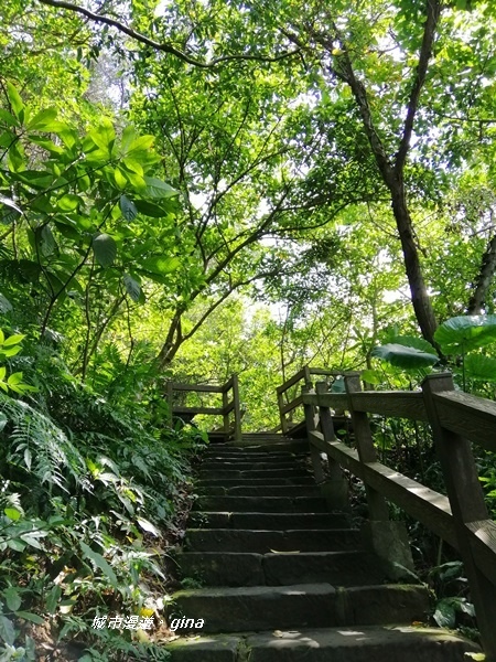 【台北大安】城市裡的綠意盎然。 富陽自然生態公園