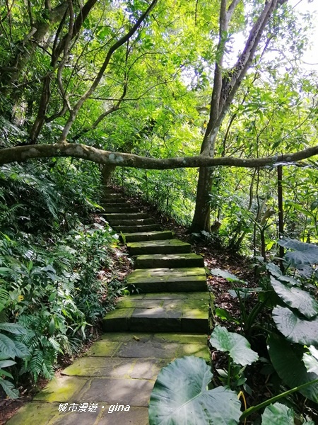 【台北大安】城市裡的綠意盎然。 富陽自然生態公園