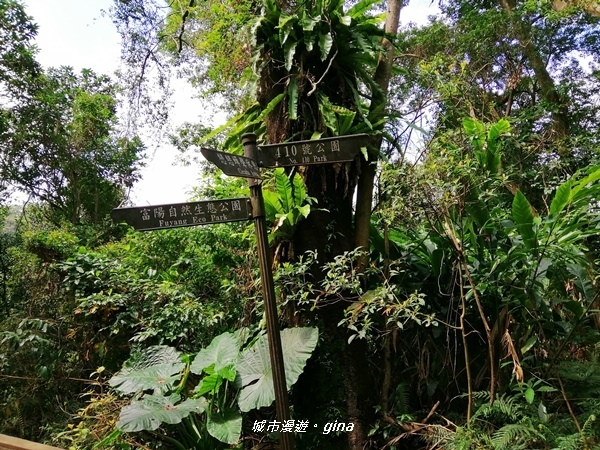 IMG_20200306_121923.jpg IMG_20200306_121923.jpg