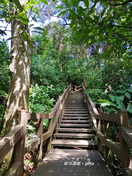 【台北大安】城市裡的綠意盎然。 富陽自然生態公園