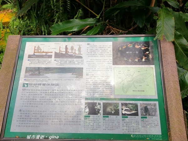 【台北大安】城市裡的綠意盎然。 富陽自然生態公園