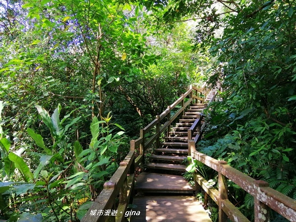 【台北大安】城市裡的綠意盎然。 富陽自然生態公園