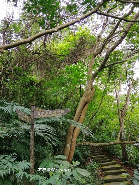 【台北大安】城市裡的綠意盎然。 富陽自然生態公園