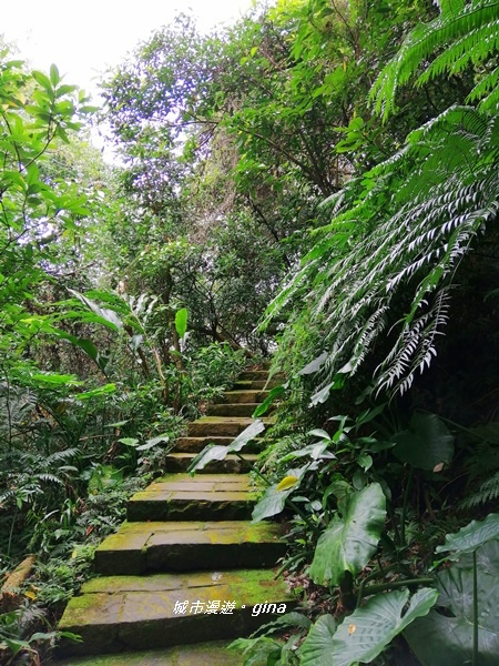 IMG_20200306_124117.jpg IMG_20200306_124117.jpg