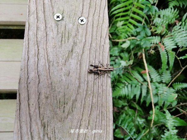 IMG_20200306_123916.jpg IMG_20200306_123916.jpg