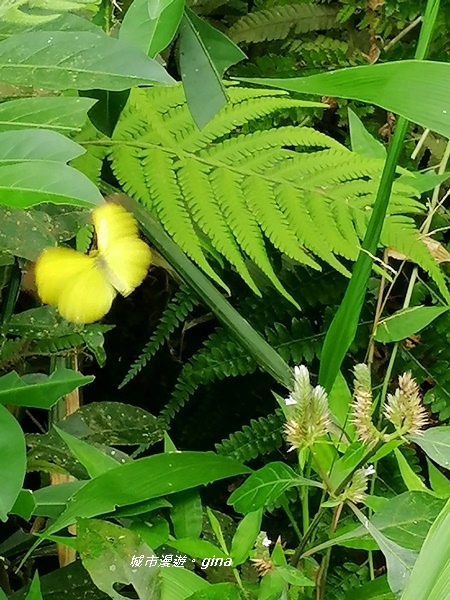 IMG_20200306_124739.jpg IMG_20200306_124739.jpg