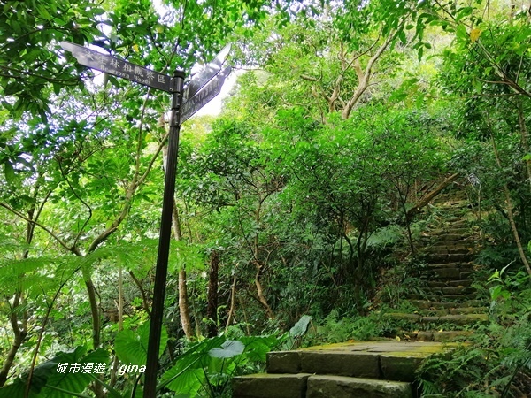 【台北大安】城市裡的綠意盎然。 富陽自然生態公園