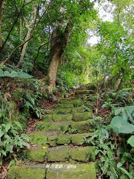 【台北大安】城市裡的綠意盎然。 富陽自然生態公園