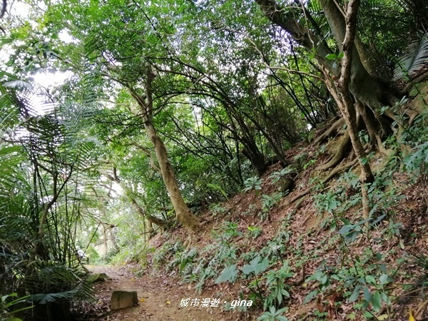 IMG_20200306_125427.jpg IMG_20200306_125427.jpg