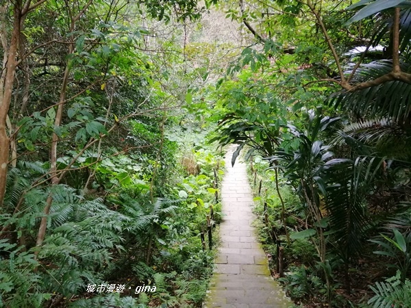 IMG_20200306_125536.jpg IMG_20200306_125536.jpg