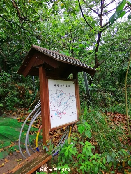 IMG_20200314_101034.jpg IMG_20200314_101034.jpg