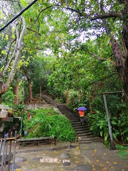 IMG_20200314_101035.jpg IMG_20200314_101035.jpg