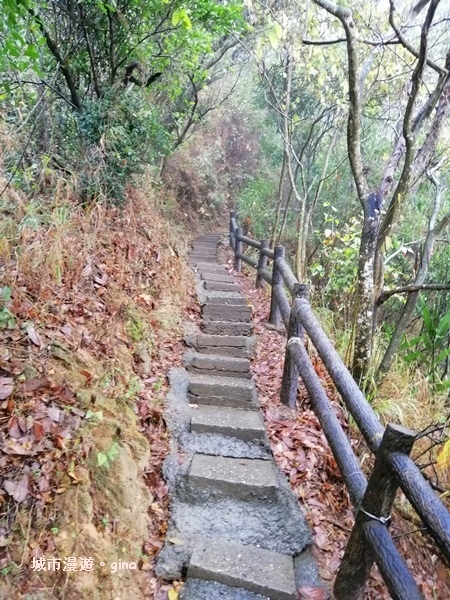 IMG_20200314_103422.jpg IMG_20200314_103422.jpg