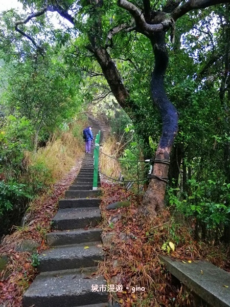 IMG_20200314_102826.jpg IMG_20200314_102826.jpg