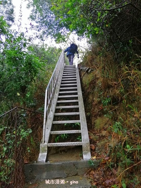 IMG_20200314_103008.jpg IMG_20200314_103008.jpg