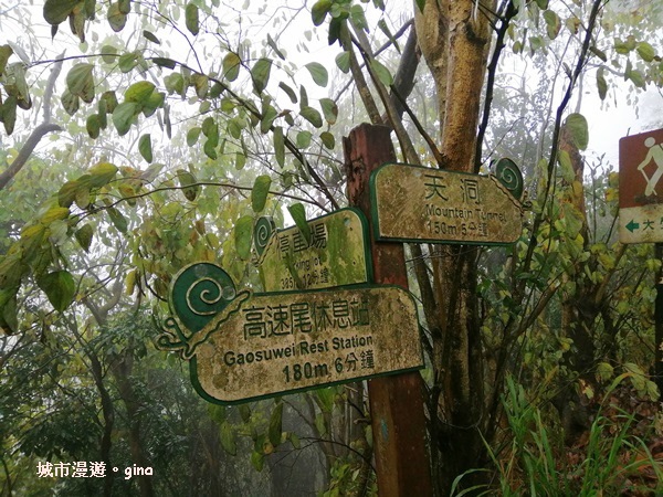 IMG_20200314_103645.jpg IMG_20200314_103645.jpg