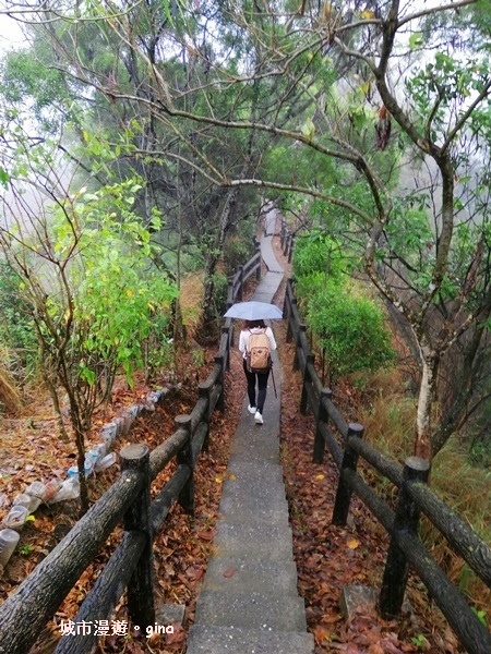 IMG_20200314_104253.jpg IMG_20200314_104253.jpg