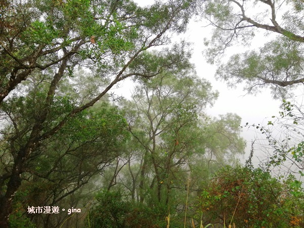 IMG_20200314_104257.jpg IMG_20200314_104257.jpg