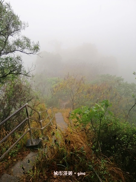 IMG_20200314_110853.jpg IMG_20200314_110853.jpg