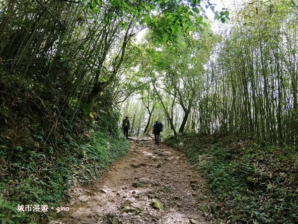 【台南白河】台南第一高峰。 No63小百岳~關仔嶺大凍山