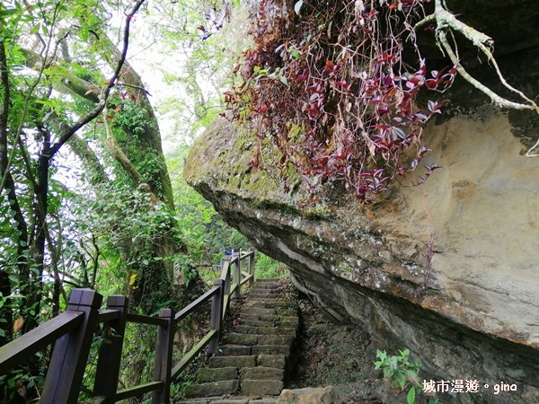 【台南東山】山上尋悠。 No64小百岳~崁頭山