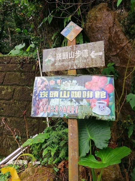 IMG_20200315_100503.jpg IMG_20200315_100503.jpg