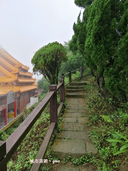 IMG_20200315_101045.jpg IMG_20200315_101045.jpg