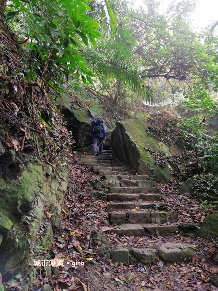 【台南東山】山上尋悠。 No64小百岳~崁頭山