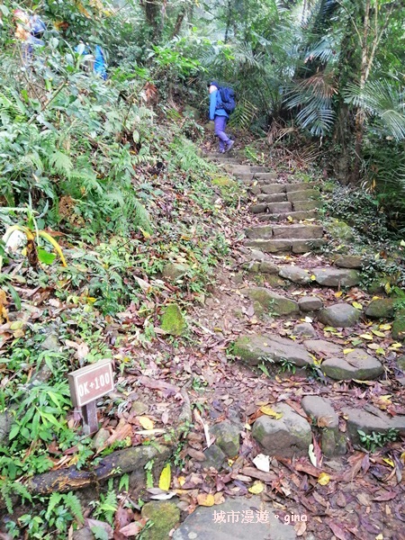 IMG_20200315_101324.jpg IMG_20200315_101324.jpg