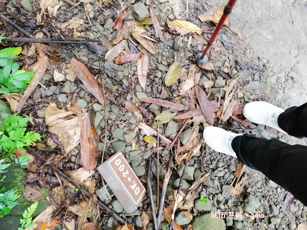 IMG_20200315_101713.jpg IMG_20200315_101713.jpg