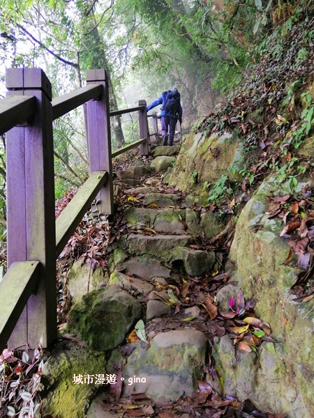 【台南東山】山上尋悠。 No64小百岳~崁頭山