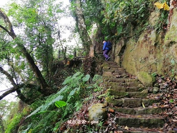 【台南東山】山上尋悠。 No64小百岳~崁頭山