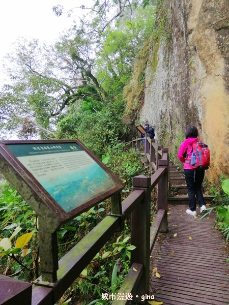 IMG_20200315_102800.jpg IMG_20200315_102800.jpg