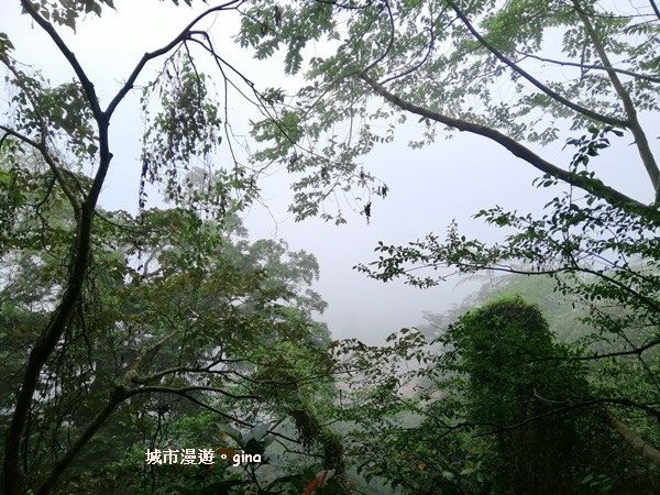 IMG_20200315_102212.jpg IMG_20200315_102212.jpg